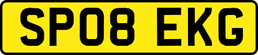 SP08EKG