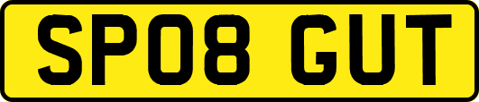 SP08GUT