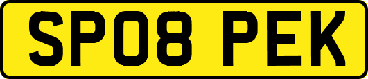 SP08PEK