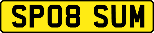 SP08SUM