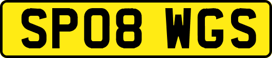 SP08WGS
