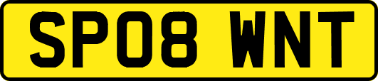 SP08WNT