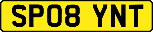 SP08YNT