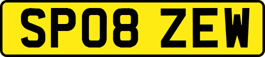 SP08ZEW