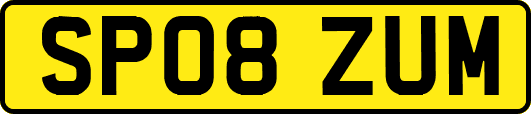 SP08ZUM
