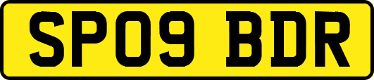 SP09BDR