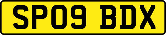 SP09BDX