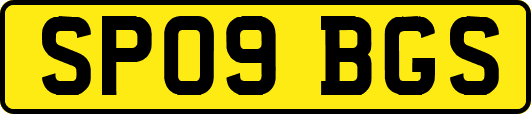 SP09BGS
