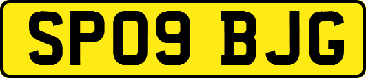 SP09BJG