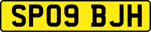 SP09BJH