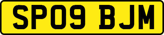 SP09BJM
