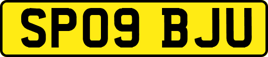 SP09BJU