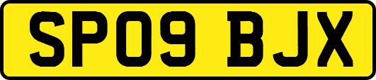 SP09BJX
