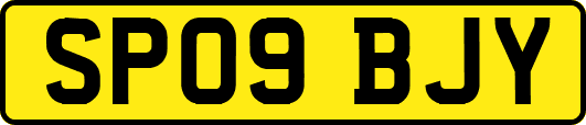 SP09BJY
