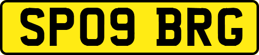 SP09BRG