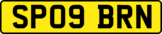 SP09BRN