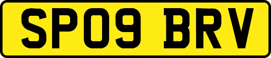 SP09BRV