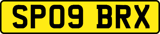 SP09BRX