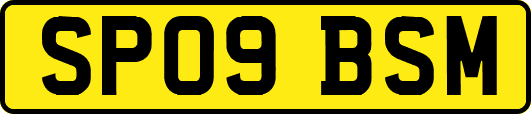 SP09BSM