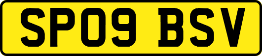 SP09BSV
