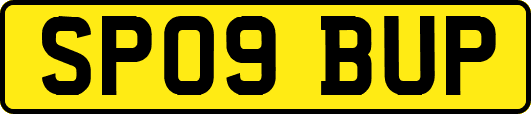SP09BUP