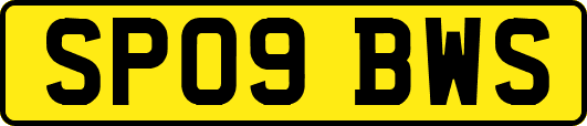 SP09BWS
