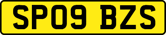 SP09BZS