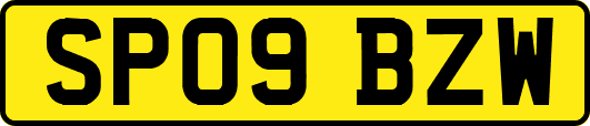 SP09BZW