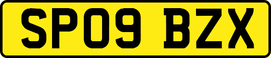 SP09BZX