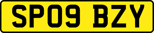 SP09BZY