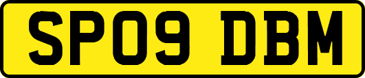 SP09DBM