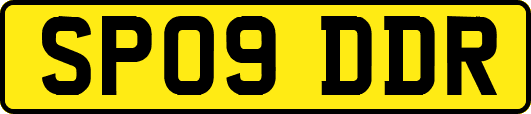SP09DDR