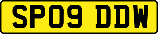SP09DDW
