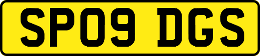 SP09DGS