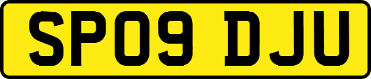 SP09DJU
