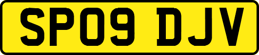 SP09DJV