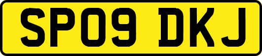 SP09DKJ