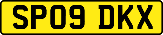 SP09DKX