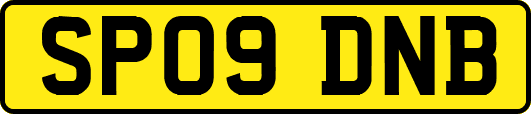 SP09DNB