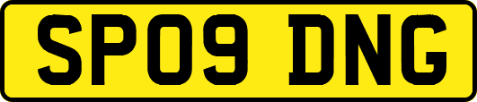 SP09DNG