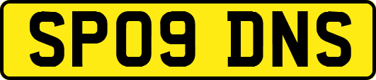 SP09DNS