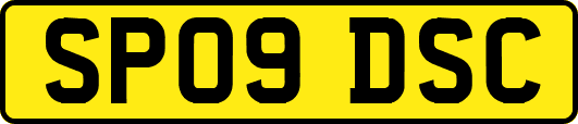SP09DSC