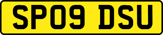 SP09DSU
