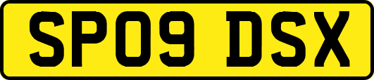 SP09DSX