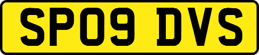 SP09DVS