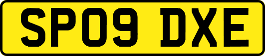 SP09DXE