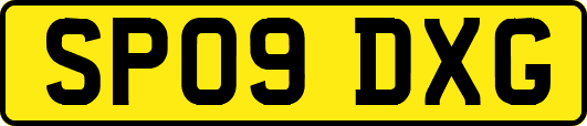 SP09DXG