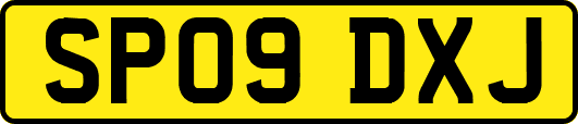 SP09DXJ
