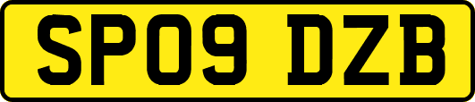 SP09DZB