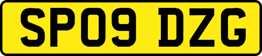SP09DZG